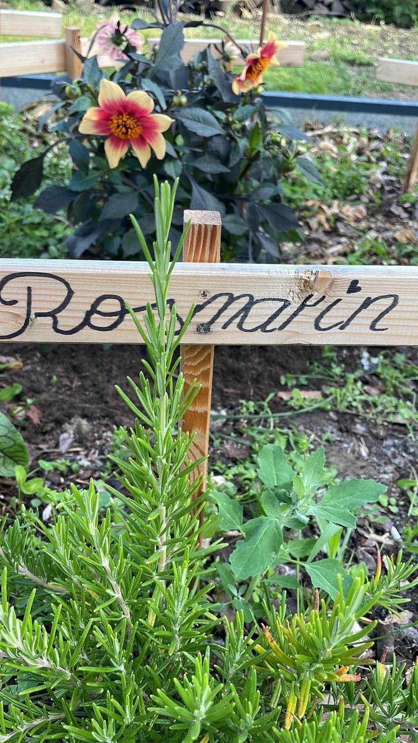 Appartement Buchwald Maishofen Zewnętrze zdjęcie